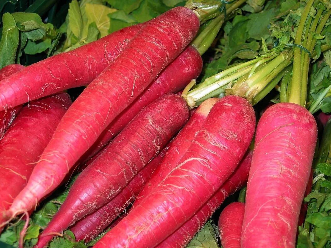 budgetseeds2936718