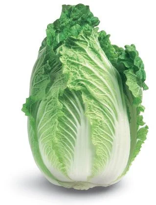 budgetseeds2937263