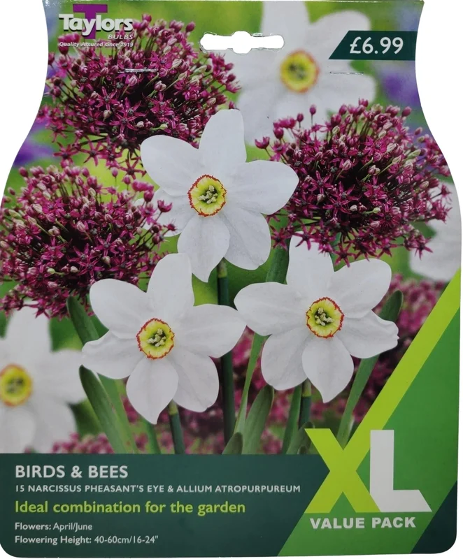 budgetseeds2937824