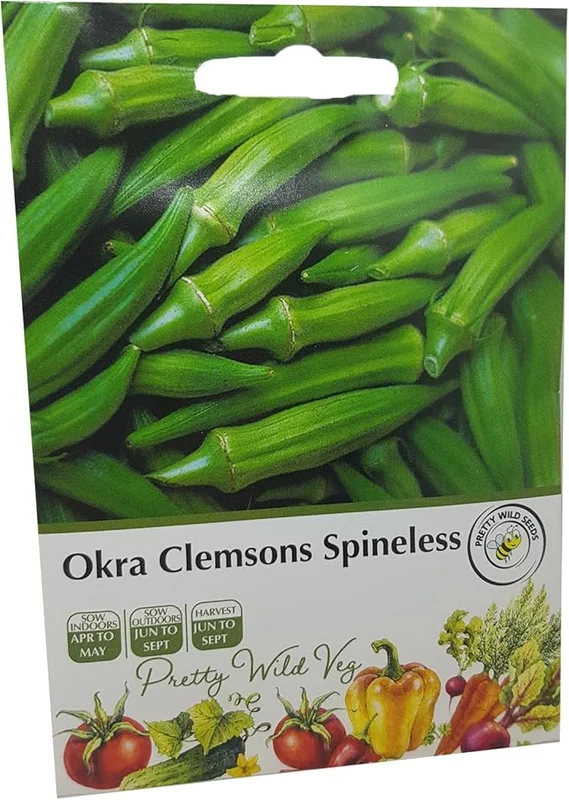 budgetseeds2938911
