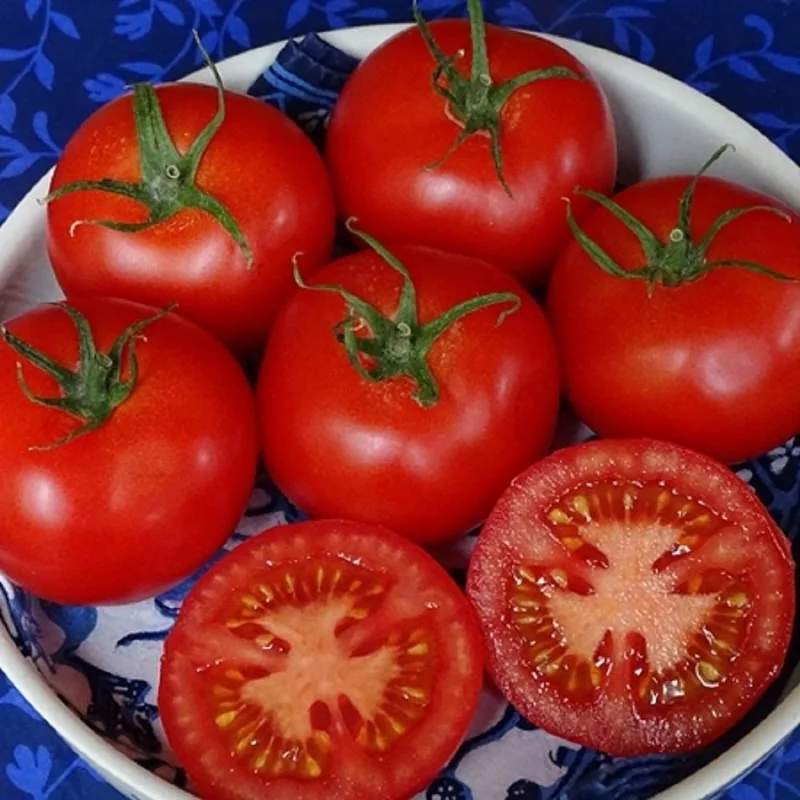 budgetseeds2938945