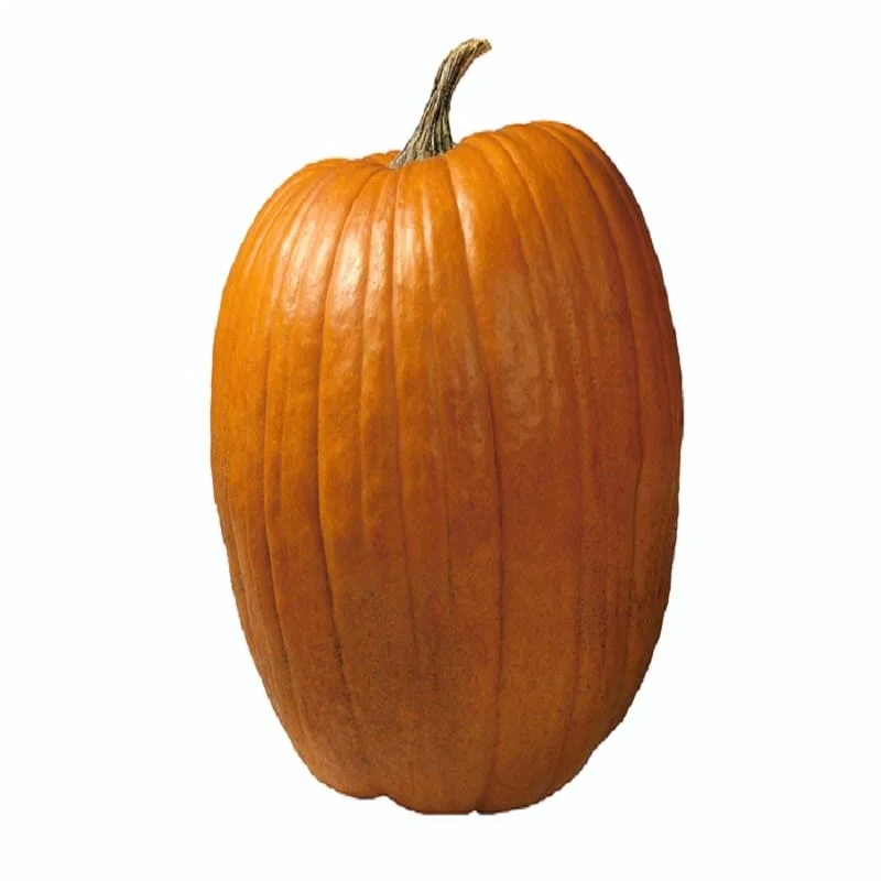 budgetseeds2939015