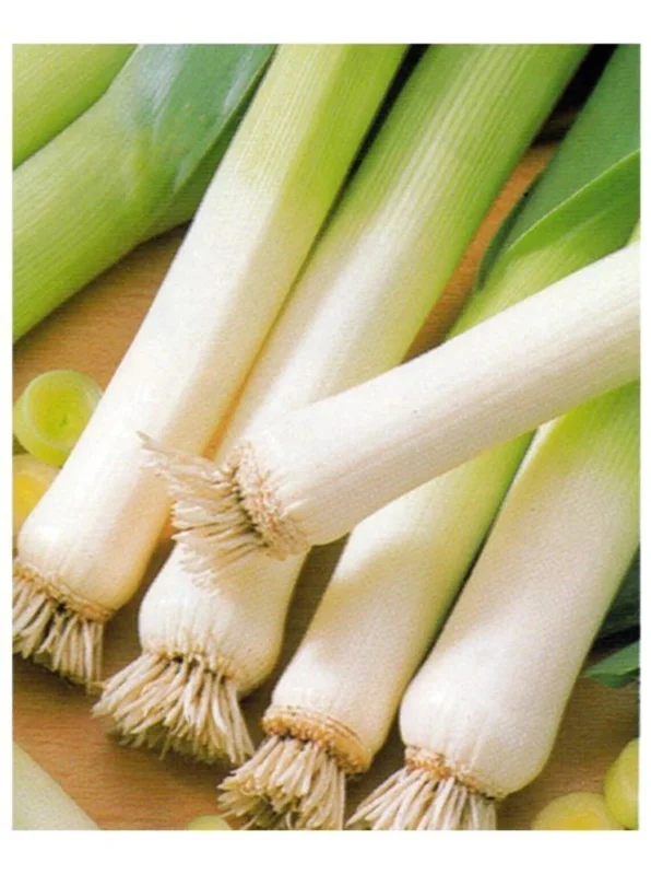 budgetseeds2939335