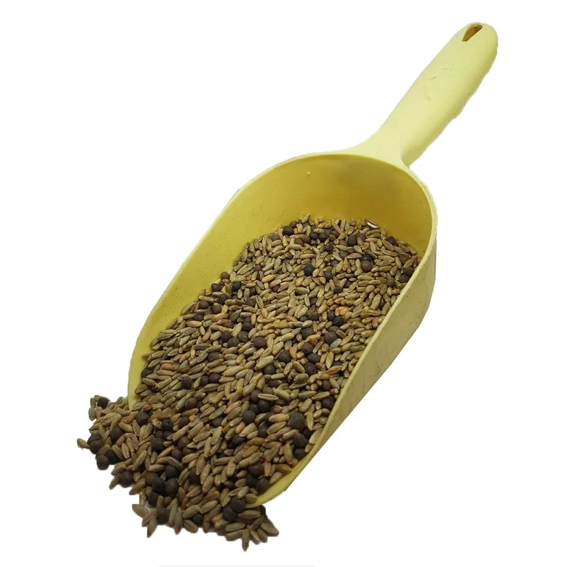 budgetseeds2939506