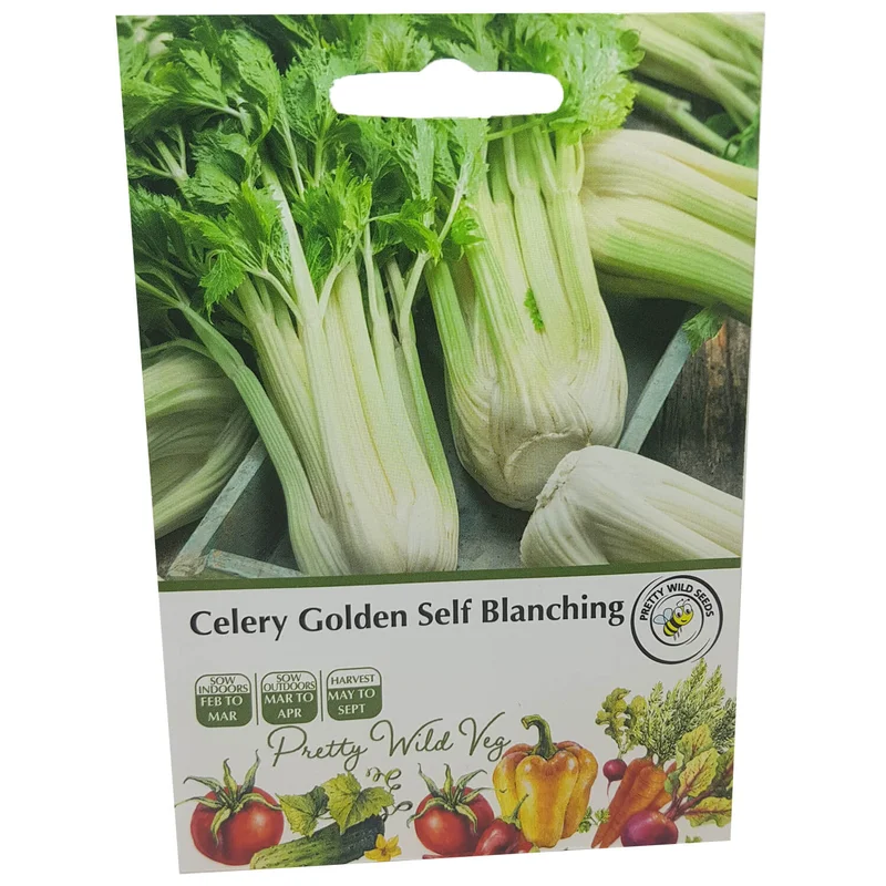 budgetseeds2939711