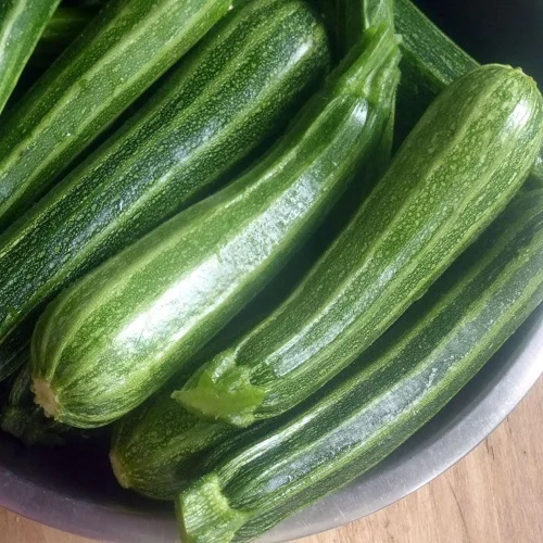 budgetseeds2940195