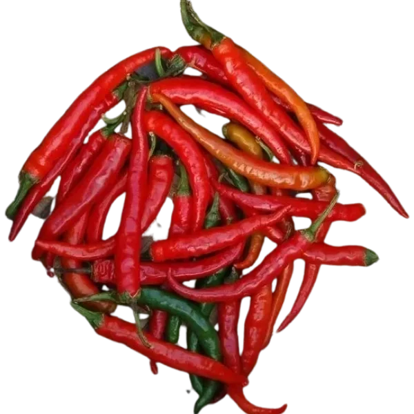 budgetseeds2941046