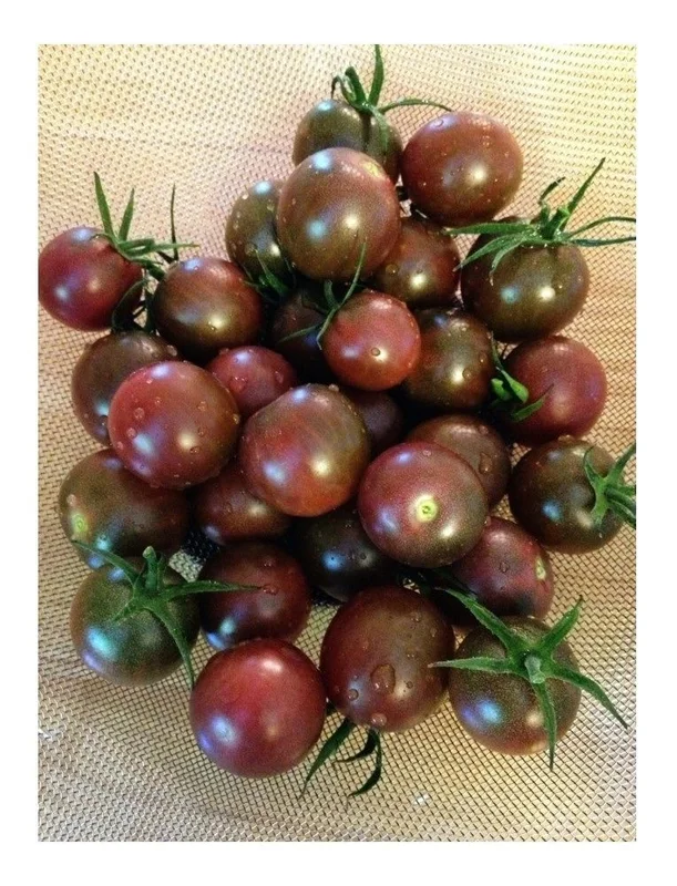 budgetseeds2941401