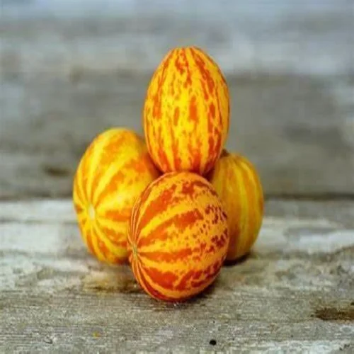 budgetseeds2942114