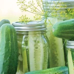 budgetseeds2942546
