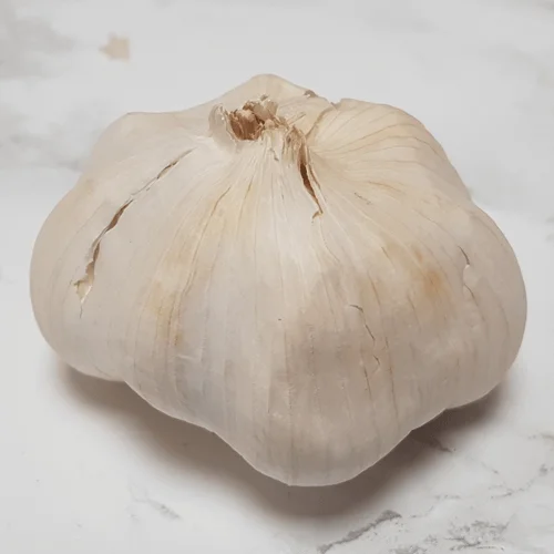 budgetseeds2942581