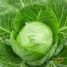 budgetseeds2942679
