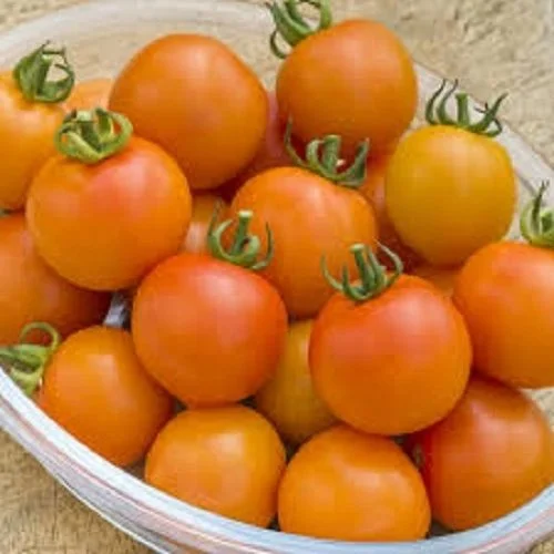 budgetseeds2942809