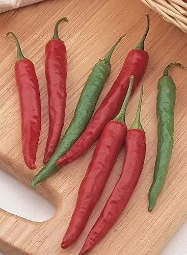 budgetseeds2943591