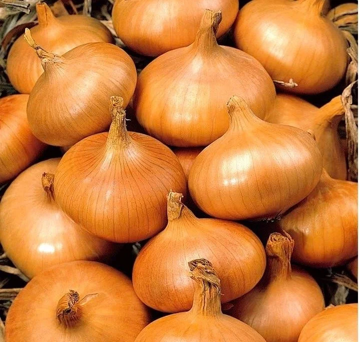 budgetseeds2944143