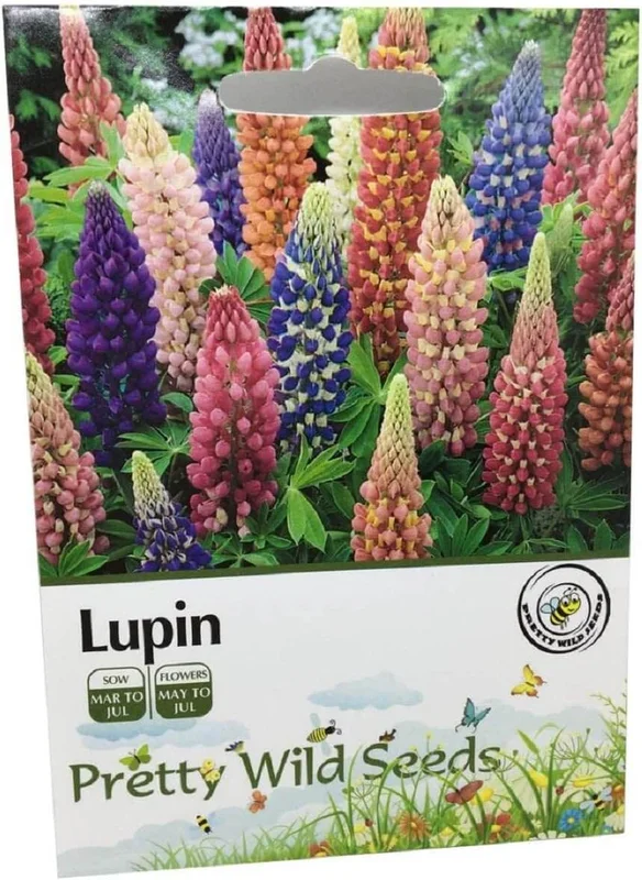 budgetseeds2944722