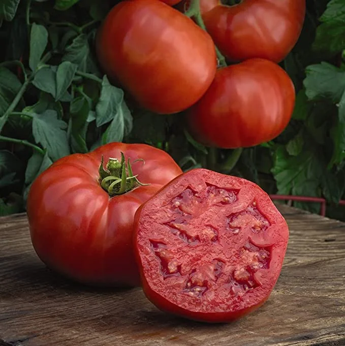 budgetseeds2944915
