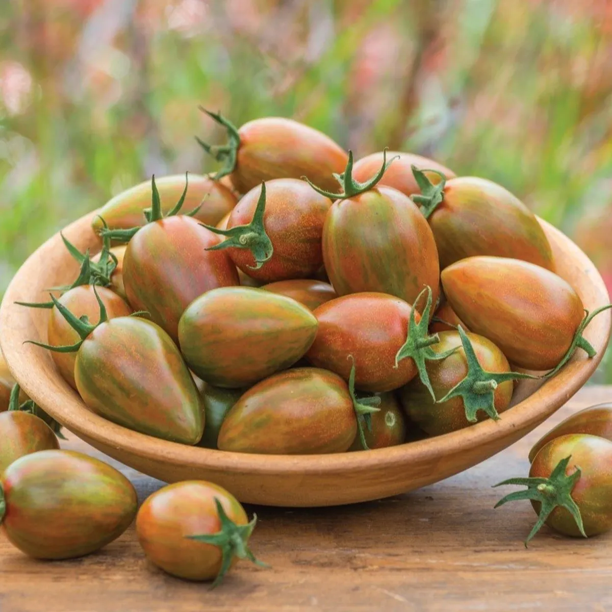 budgetseeds2944958