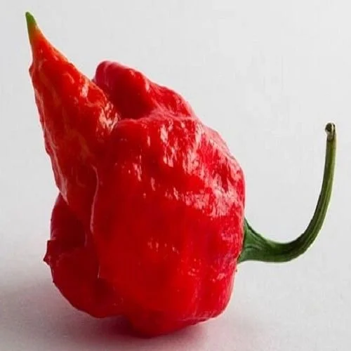 budgetseeds2945184