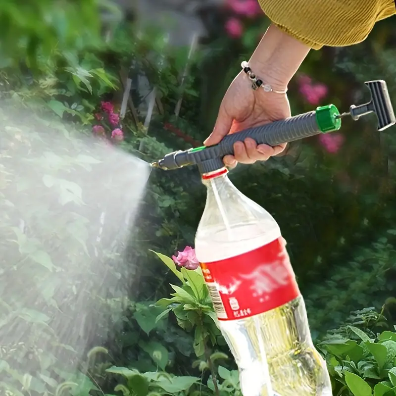 budgetseeds2945671