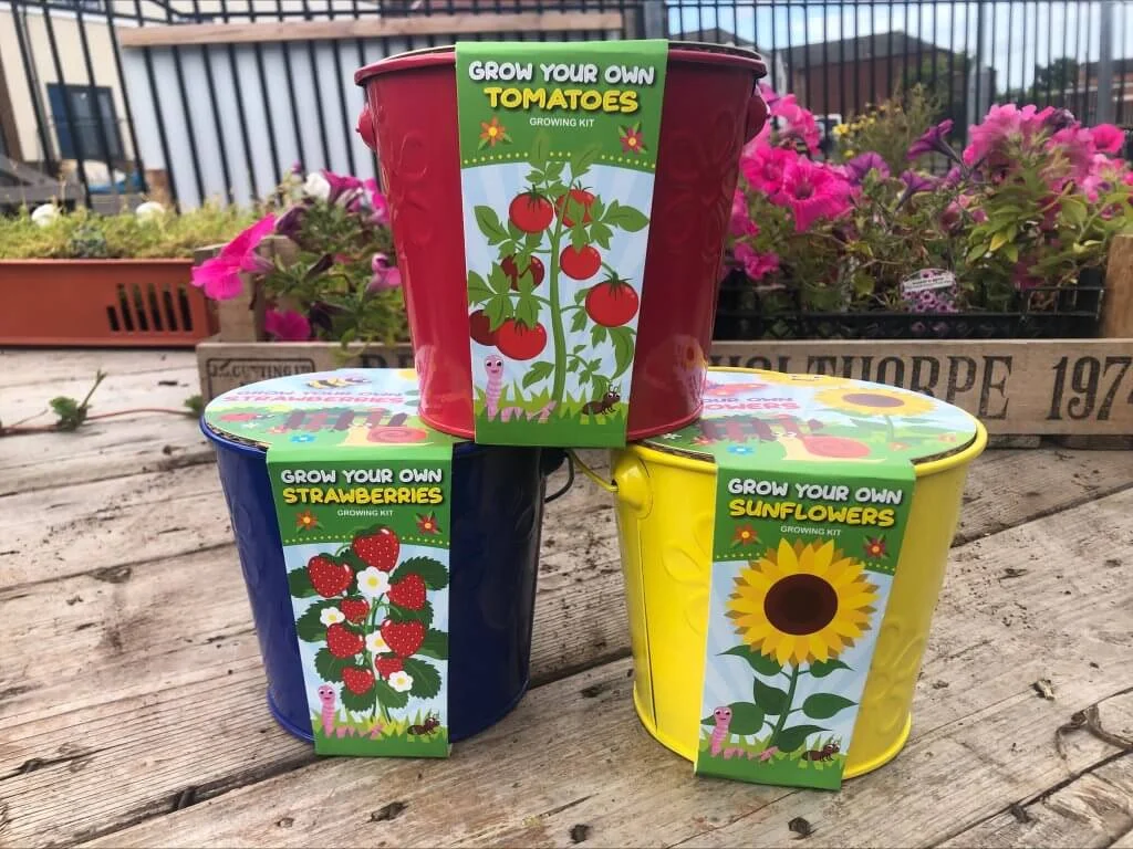 budgetseeds2946061