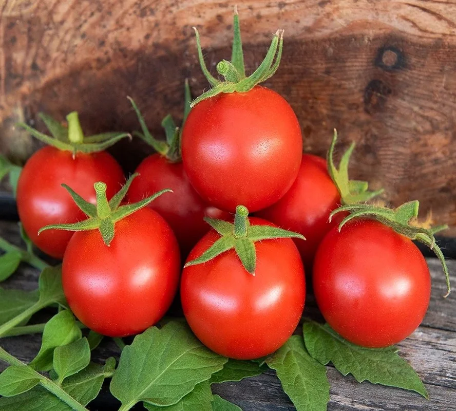 budgetseeds2946098