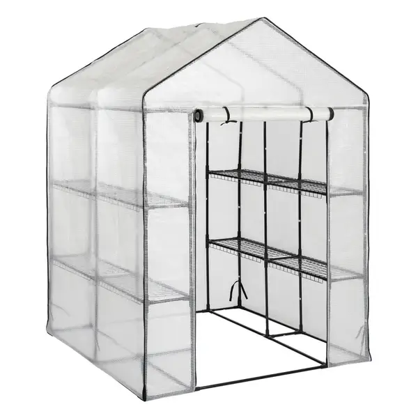 budgetseeds2946180