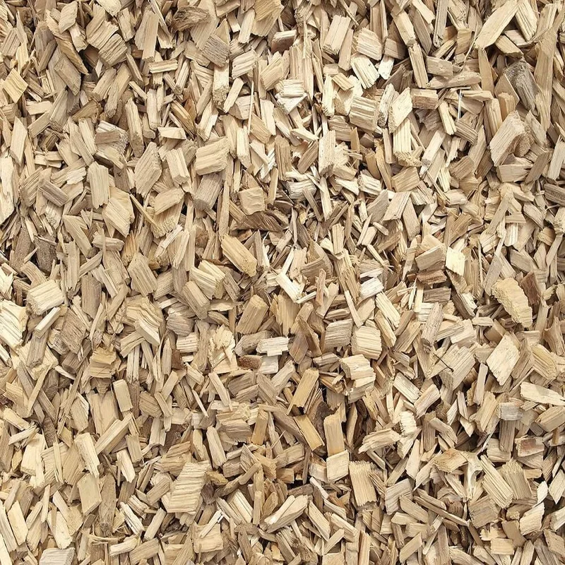 budgetseeds2947386