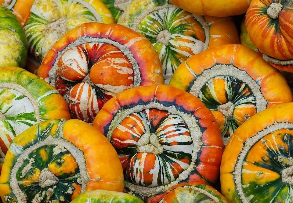 budgetseeds2949025