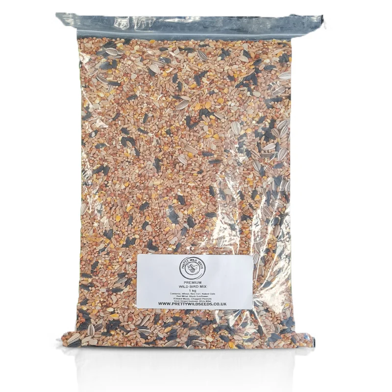 budgetseeds2949102