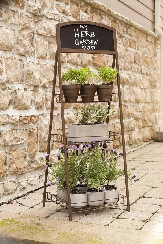 budgetseeds2949380