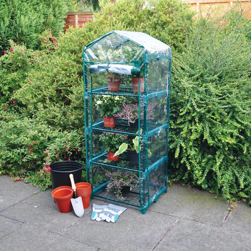 budgetseeds2949553