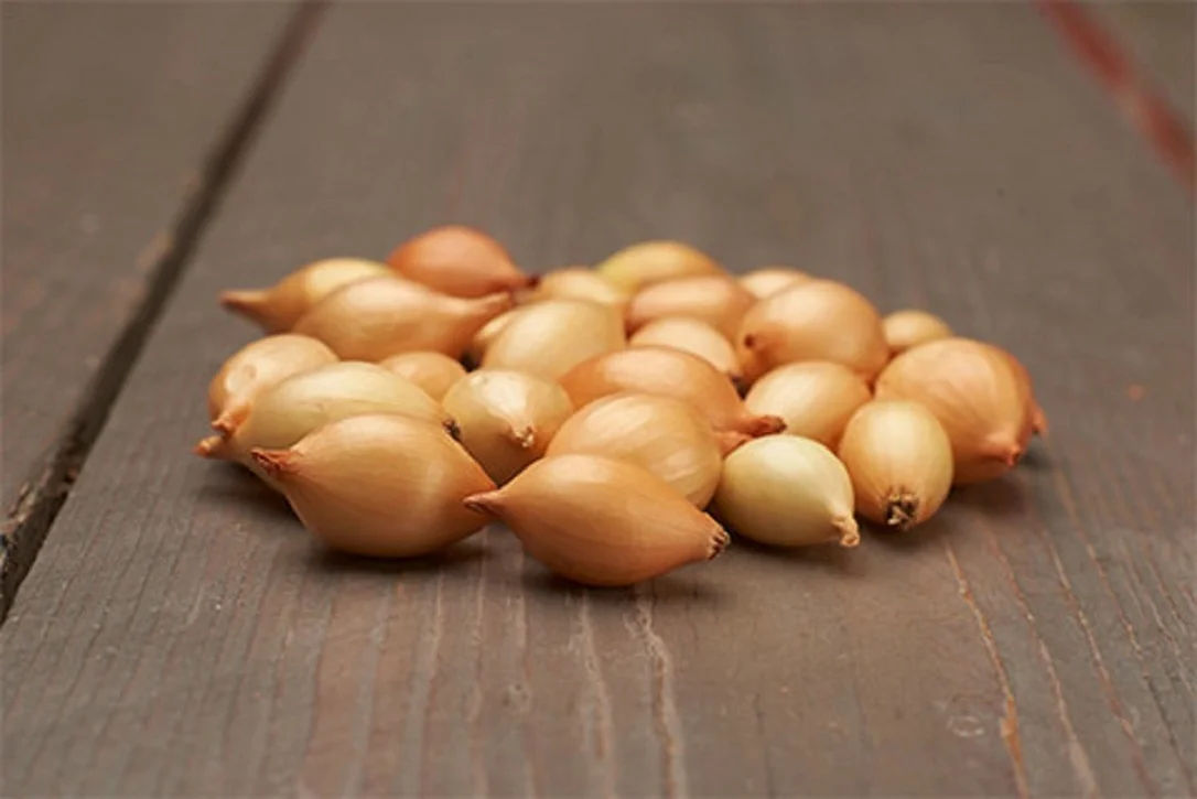 budgetseeds2949612