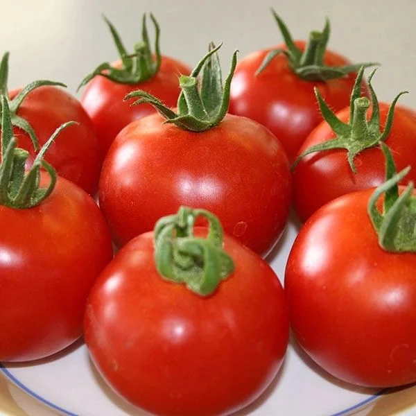 budgetseeds2949803