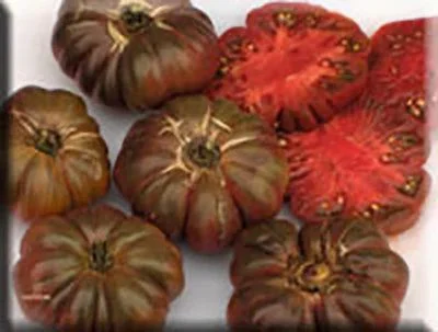 budgetseeds2950033