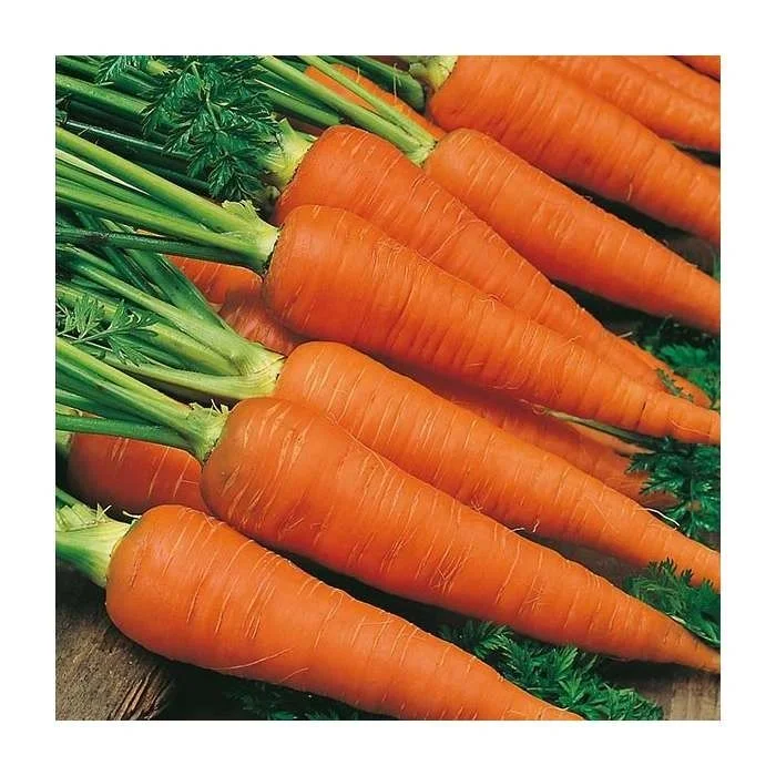 budgetseeds2950062