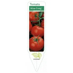 budgetseeds2950080