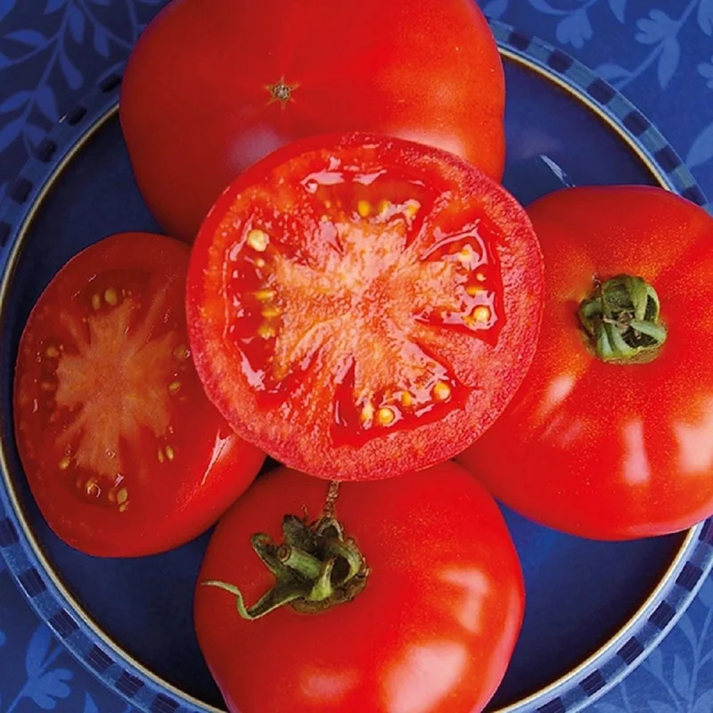 budgetseeds2950384