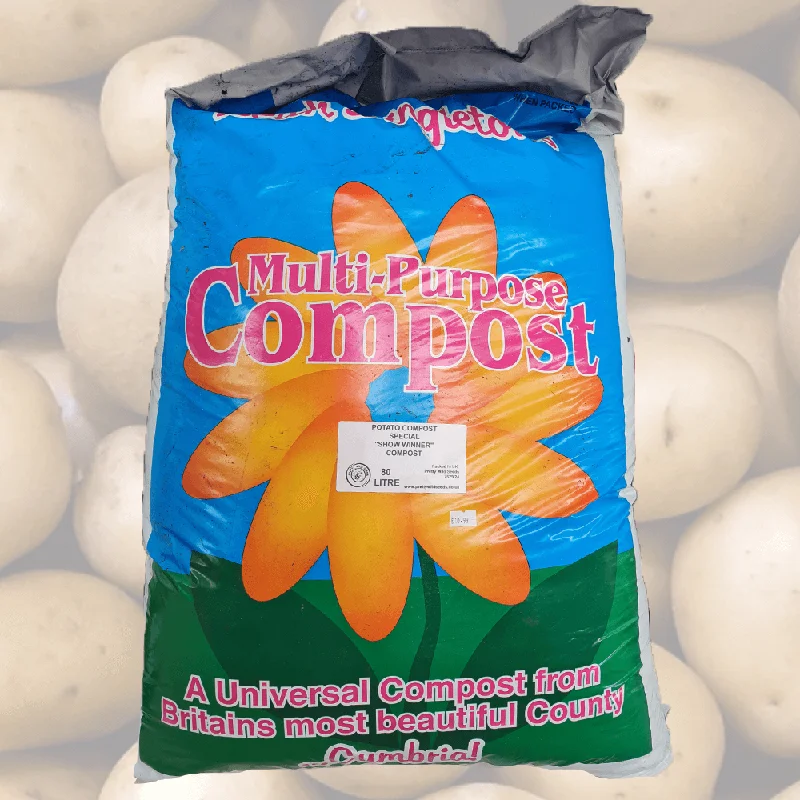 budgetseeds2950864