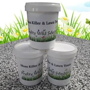 budgetseeds2951359