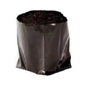budgetseeds2952456