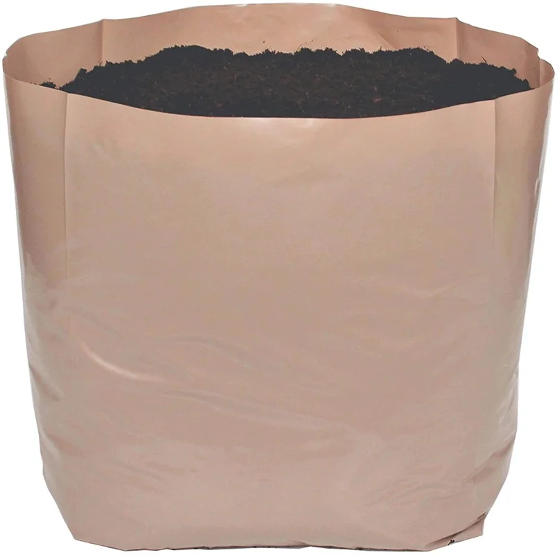 budgetseeds2952493