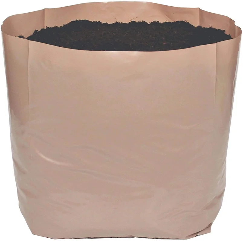 budgetseeds2952528