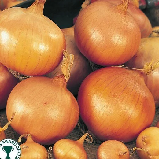 budgetseeds2953727