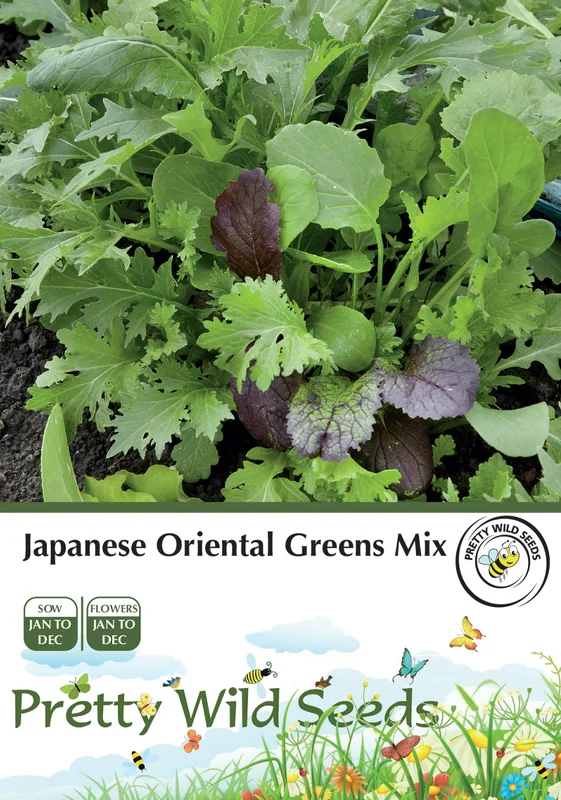 budgetseeds2953778