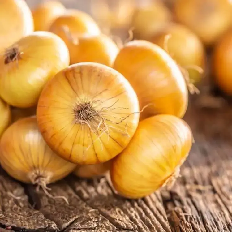 budgetseeds2953880