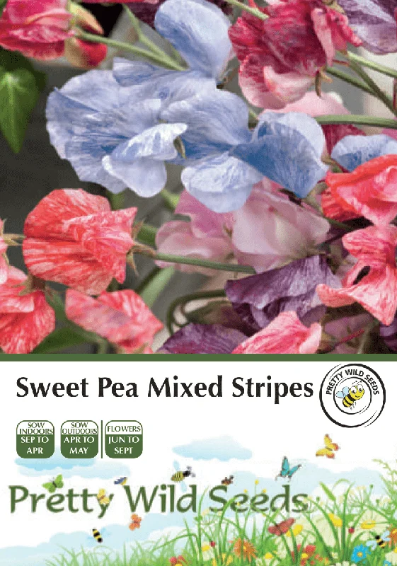 budgetseeds2953957