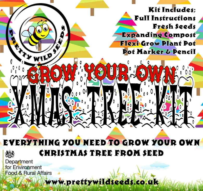 budgetseeds2954938