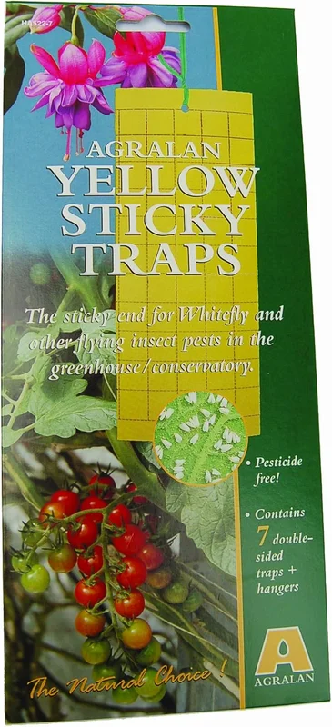 budgetseeds2954982