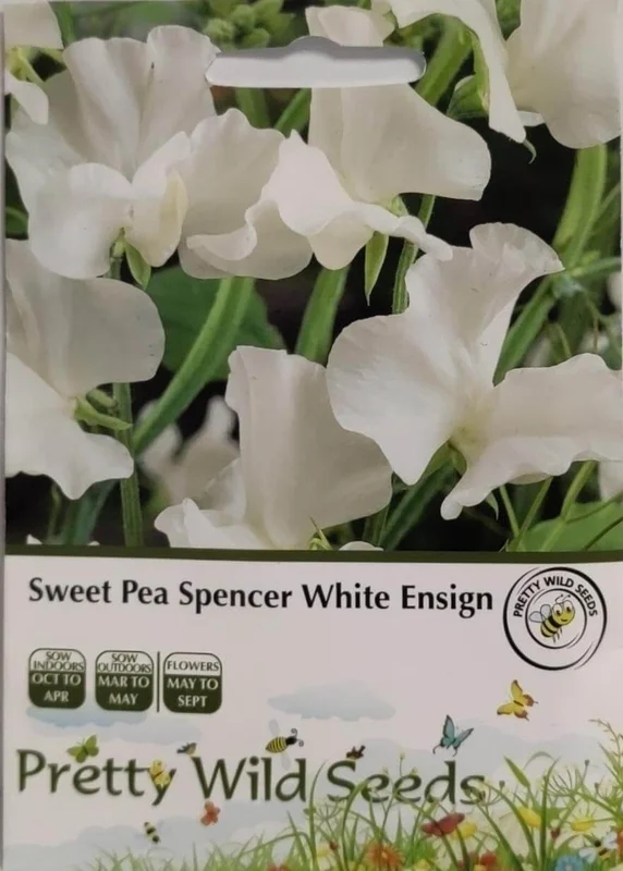 budgetseeds2955085